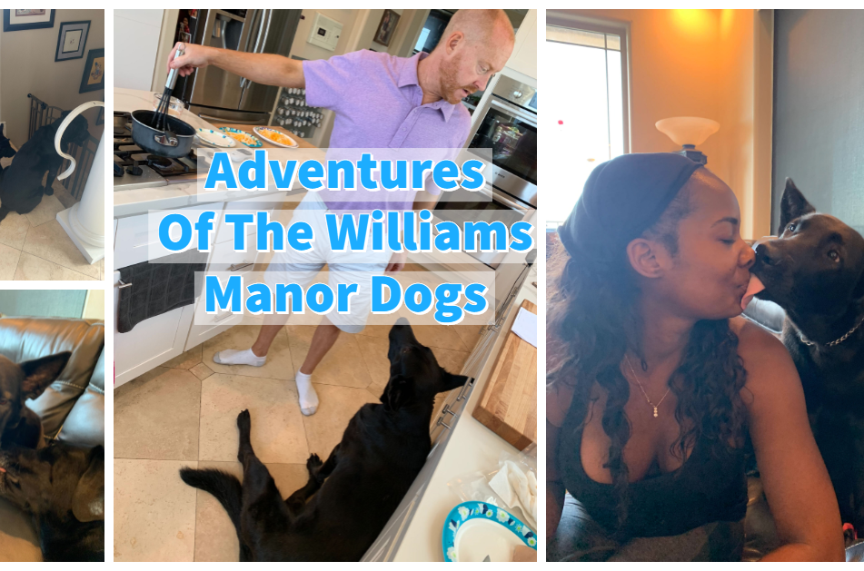 Adventures Of Williams Manor Dogs