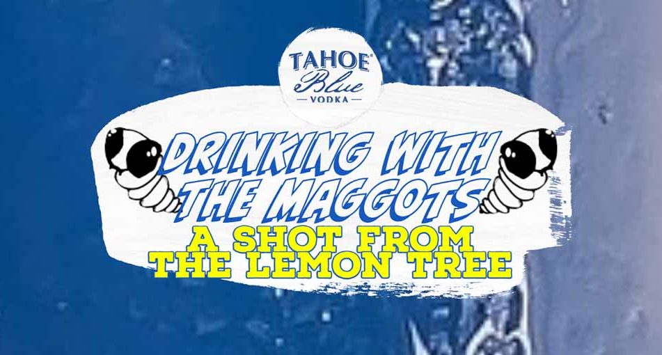 dwtm-lemon-tree-shot