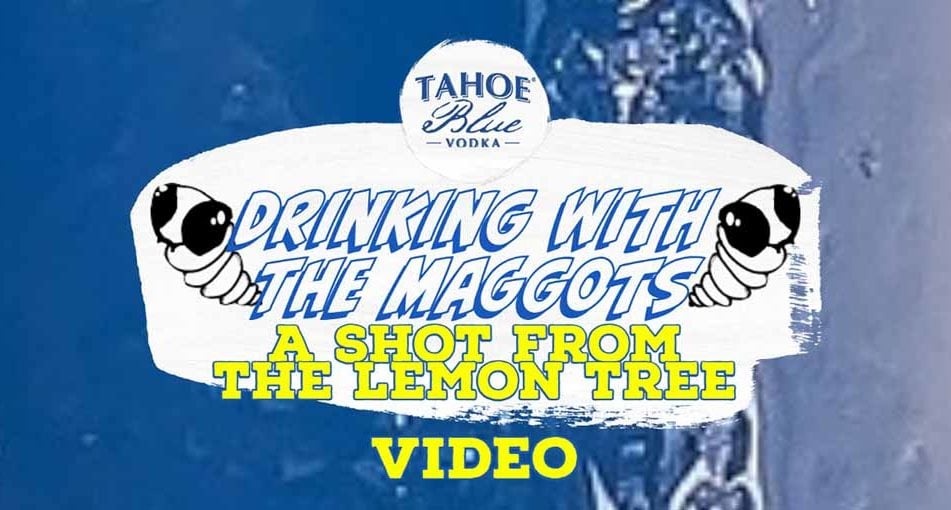 dwtm-lemon-tree-shot-video